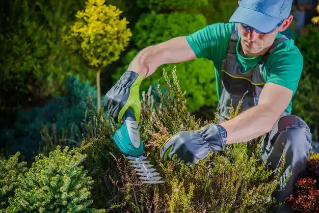 landscaping services Loveland
